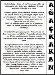 bu hayvanlar bir alem agackakan hayvanlarla ilgili cocuklara ozel bilgi sayfalari hayvanlar okul okul oncesi