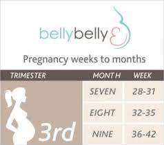 Jun 24, 2021 · 36 weeks pregnant is how many months? 36 Weeks Pregnant What To Expect This Week Bellybelly