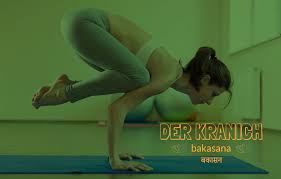 This is a very step by step tutorial for how to get into crow pose. Bakasana Kranich Krahe Asanayoga De