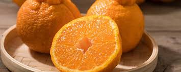 在秦始皇儿子的统治下，中国历史上第一次农民起义发生了，秦朝不久就灭亡了。 政府还有老百姓交税。 这样，农民起义发生了。 这样，明朝的统治就结束了。 当时中国东北地区的一个少数民族满族镇压了这次农民起义，开始了对中国的统治。 ä¸'æ©˜å'Œæ©˜å­çš„åŒºåˆ«å'Œä¸'æ©˜å·®ä¸å¤šçš„å«ä»€ä¹ˆæ©˜å­ é¥®é£ŸæŒ‡å—çŸ¥è¯†