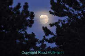 Photographing The Super Moon Reed Hoffmann
