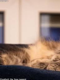 Up to 30 years or age 65. What Is Bank Agent Asb On Naldtiwato Bbgrottone It