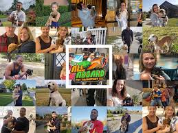Maybe you would like to learn more about one of these? All Aboard Pet Transport Llc Home Facebook