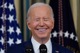 Image result for Bidens diversa