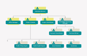 Carl coe currently lives in morrisville, nc; Diagram Organizational Structure Of Coe At The End Of 12 Months Note Download Scientific Diagram