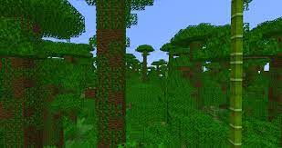 At default random tick speed (3), each plant grows on average every 4096 game ticks (204.8 seconds). 1 14 Jungles Will Have Occasional Bamboo Plants Minecraft
