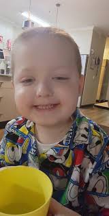 💥Mr. Noodles! Bath day pics🩵 A few people have asked how he's doing. His  spinal cord injury is permanent so he'll never walk again but he's such a  happy and sweet boy!!