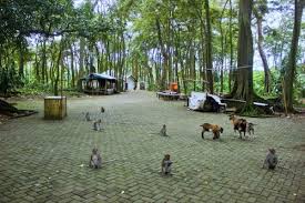Hutan jati pasar kemis buka atau tutup. Info Lengkap 39 Tempat Wisata Di Tangerang Dan Sekitarnya