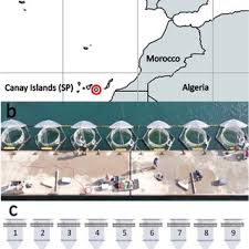 Librada RAMÍREZ FERNÁNDEZ