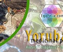 This Image It Is About Yoruba Names For Herbs And Plants Nigerian Medicine Medicinal Herbs Medicine Herbs