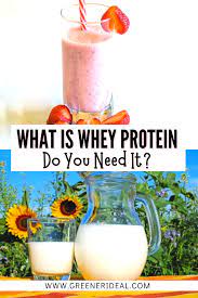 What Is Whey Protein And Do I Need To Take It In 2021 What Is Whey Protein Vegan Living Nutrition
