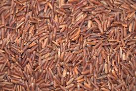 Image result for Oryza longistaminata