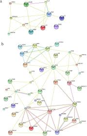 The antibodies in camel's milk fight cancer, hepatitis, alzheimer's, autism, diabetes, arthritis and eczema. Proteomic Analysis And Cross Species Comparison Of Casein Fractions From The Milk Of Dairy Animals Scientific Reports