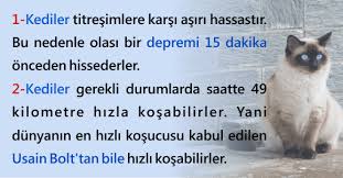 Pin On Sevimli Dostlarim