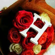 pin by alina khan on alph bets h alphabet stylish alphabets alphabet design