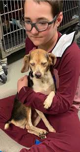 Kid Raises Money for Animals Hurt in House Fire