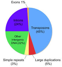 genomics exercise 2