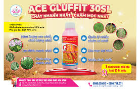ACE Gluffit 30SL