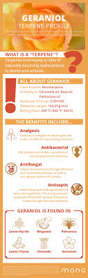 Terpene Profile Geraniol
