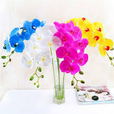 Maybe you would like to learn more about one of these? China 36 L 7 Flowers Fake Pu Real Touch Orchid Flower Export China Real Touch Orchid And Orchid Flower Price