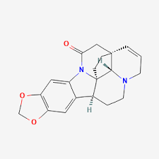 Image result for Schizozygia