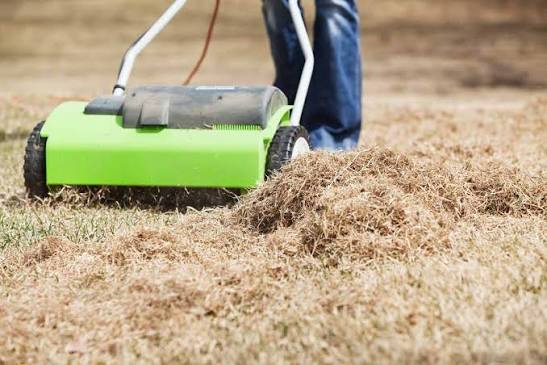 Getting rid of thatch