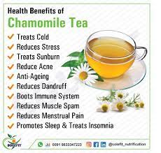 Solefit Nutrification On Twitter Chamomile Tea Chamomile Tea Is A Popular Beverage That Also Offers A Variety Of Health Benefits Many People Enjoy Chamomile Tea As A Caffeine Free Alternative To Black Or