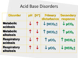 Acid Base Balance