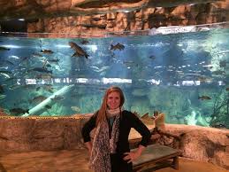 Bass Pro Pyramid Memphis Bowling Alley Elevator Alligators Memphis Tennessee Memphis City Memphis