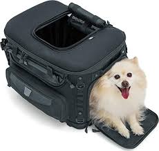 Shop the top 25 most popular 1 at the best prices! 5 Best Dog Carriers For Motorcycles Road Cruising With Your Canine