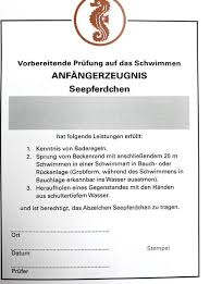 Der aktualisierte newsletter 2020 vom vfr. Schwimmabzeichen Kaufen Schwimmshop De