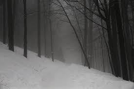 Maybe you would like to learn more about one of these? Winter Dark Snow Forests Forest Mountains Night The Fear Tree The Silence Trail Pikist