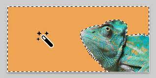 Check spelling or type a new query. Select An Object With The Magic Wand Tool