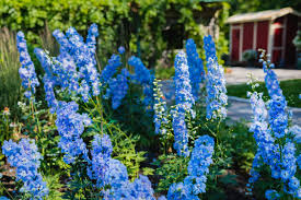 Many herbs can withstand shade if they get a minimum of light, even filtered sunlight, for two to three hours a day. The Most Beautiful Flowers You Can Plant In Your Garden