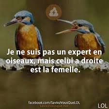 Pin By Saviezvousque On Saviez Vous Que Humour Lol Animals
