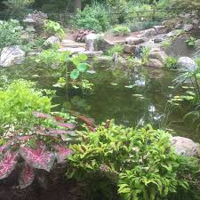 Pin On Unc Charlotte Botanical Gardens