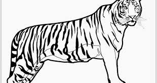 Kartun harimau comel yang menjalankan unsur graf vektor. Contoh Gambar Animasi Harimau Gratis Download Cikimm Com