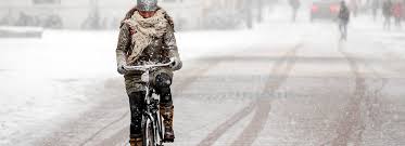 In de lagere gebieden ligt enkele cm sneeuw, boven 500 meter hoogte is de sneeuwlaag aangegroeid tot 20 à 25 cm, in de provincie luxemburg is dat tot een lokale bui in de ardennen valt als sneeuw. Een Paar Cm Sneeuw En Heel Nederland Is In Rep En Roer Waarom Max Vandaag