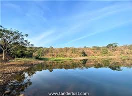 Vihar lake is a wonderful natural lake situated in sanjay ghandi or bolivari national part in the outskirts of mumbai city in the state of it is named after the village of vihar located near the lake. Vihar Lake A Secret Of Mumbai Hidden In Plain Sight