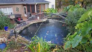 See more ideas about heron, redesign, pond. Pond Netting Technique Youtube