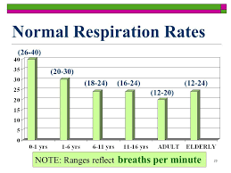 respiration rate chart google search nursing students