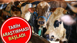 Kurban bayramı ne zaman 2021. Kurban Bayrami Ne Zaman Iste 2021 Kurban Bayrami Tarihi Son Dakika Haberler