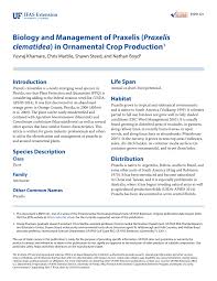 We offer free estimates and inspections to cater to. Pdf Biology And Management Of Praxelis Praxelis Clematidea In Ornamental Crop Production