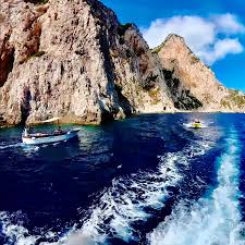 Image result for Blue Vela 2008 147