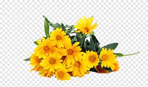 A bouquet of roses and daffodils is decorated with needles. Flower Bouquet Yellow Common Daisy Graphy Flower Purple Sunflower Png Pngegg