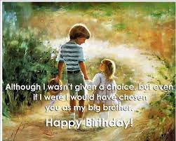 Funny Birthday Quotes For Sister From Brother Sister Birthday Quotes Happy Birthday Big Brother Birthday Wishes For Brother