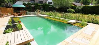 Schwimmteich Garten Anlegen Rechteckig Wasserpflanzen Begrunung Schwimmteich Naturschwimmbader Kleiner Pool Design