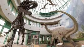 A Time for Science with the NC Museum of Natural Sciences