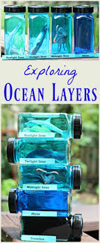 Marine Biology Science Fair Projects Ocean Zones For Kids Layers Of The Sea Science Project Science Activities For Kids Science Projects For Kids Fun Science