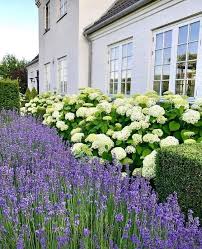 80 Eye Catching Front Yard Landscaping Ideas And Tips Cozy Home 101 In 2020 Landscape Design Cottage Garden Front Yard Landscaping